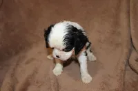 processed/f4ee82fd-ace0-491c-9815-80f5eeec4957/listing/1fcf2099-3948-435b-97ca-df38fe2c9f5b/57ebbb02-4668-468e-b4fd-08978c91ae7b