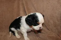 processed/f4ee82fd-ace0-491c-9815-80f5eeec4957/listing/1fcf2099-3948-435b-97ca-df38fe2c9f5b/b5773411-4c17-467f-b277-04000b104921