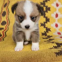 processed/f4f27a23-c129-42d7-971e-dc2f1d17bfd5/facility/1bdad473-a4d9-4b82-8bd2-714d635077d3