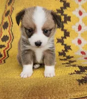 processed/f4f27a23-c129-42d7-971e-dc2f1d17bfd5/facility/1bdad473-a4d9-4b82-8bd2-714d635077d3