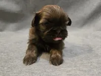 processed/f4f27a23-c129-42d7-971e-dc2f1d17bfd5/listing/d3f75c23-497f-4a00-b7c2-b4e2bc0fb59e/435c5845-3019-4665-a628-b7b94317df2d