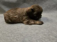 processed/f4f27a23-c129-42d7-971e-dc2f1d17bfd5/listing/d3f75c23-497f-4a00-b7c2-b4e2bc0fb59e/6d592106-bf04-4b24-be69-586b456b937e