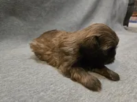 processed/f4f27a23-c129-42d7-971e-dc2f1d17bfd5/listing/d3f75c23-497f-4a00-b7c2-b4e2bc0fb59e/7eeb82dd-a9a8-4e65-9c72-0013350d15f4