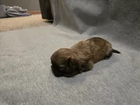 processed/f4f27a23-c129-42d7-971e-dc2f1d17bfd5/listing/d3f75c23-497f-4a00-b7c2-b4e2bc0fb59e/9b338fd2-a5a3-4bc7-b723-353472e100b1