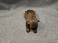 processed/f4f27a23-c129-42d7-971e-dc2f1d17bfd5/listing/d3f75c23-497f-4a00-b7c2-b4e2bc0fb59e/e53b89b3-19e4-4ed7-9f8d-ca1f3d45e54d