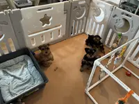 processed/f4f759e0-9e2e-49b4-aa52-9f1272122ad2/facility/3c4eee34-4cb6-4207-9baf-be57a8098e73