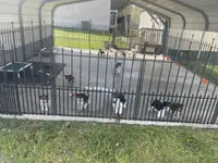 processed/f4f759e0-9e2e-49b4-aa52-9f1272122ad2/facility/6faa1024-cdc7-4a21-a05c-05311e2a8484