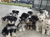 processed/f4f759e0-9e2e-49b4-aa52-9f1272122ad2/facility/b85fbb47-f55e-4075-a70f-4bf949307352