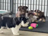 processed/f4f759e0-9e2e-49b4-aa52-9f1272122ad2/facility/caf38f4c-facb-414e-9cc7-31d789966b34