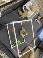 processed/f4f759e0-9e2e-49b4-aa52-9f1272122ad2/facility/d7eded7b-d795-4400-a24b-02af7f152fed