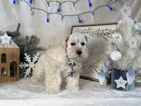 processed/f4f759e0-9e2e-49b4-aa52-9f1272122ad2/listing/5591386a-9638-40d6-a2e4-1d419045cb25/44af9967-5c1a-45ba-8da2-c60266ac5d61