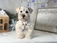 processed/f4f759e0-9e2e-49b4-aa52-9f1272122ad2/listing/5591386a-9638-40d6-a2e4-1d419045cb25/5a8679ea-e98a-48dd-af0d-a38357a603c3