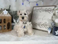 processed/f4f759e0-9e2e-49b4-aa52-9f1272122ad2/listing/5591386a-9638-40d6-a2e4-1d419045cb25/6270e7d1-6cac-4799-a7a8-9e0f5304ba2e