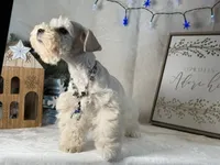 processed/f4f759e0-9e2e-49b4-aa52-9f1272122ad2/listing/5591386a-9638-40d6-a2e4-1d419045cb25/705a03e2-308f-4235-bb66-687c66579a07