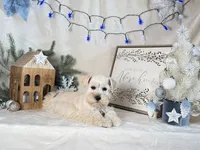 processed/f4f759e0-9e2e-49b4-aa52-9f1272122ad2/listing/5591386a-9638-40d6-a2e4-1d419045cb25/96c42dc6-c35d-42f8-8b38-c05045a6b63c