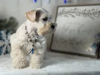 processed/f4f759e0-9e2e-49b4-aa52-9f1272122ad2/listing/5591386a-9638-40d6-a2e4-1d419045cb25/97237b58-3b5f-4654-9220-7fe8d1091784