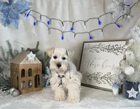 processed/f4f759e0-9e2e-49b4-aa52-9f1272122ad2/listing/5591386a-9638-40d6-a2e4-1d419045cb25/9d19d067-7e42-4d09-bac6-421f92688a2d