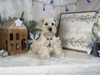 processed/f4f759e0-9e2e-49b4-aa52-9f1272122ad2/listing/5591386a-9638-40d6-a2e4-1d419045cb25/a771d033-0fb9-4db6-a58d-30a47f242af6