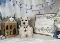 processed/f4f759e0-9e2e-49b4-aa52-9f1272122ad2/listing/5591386a-9638-40d6-a2e4-1d419045cb25/cc111a62-53d9-4fc8-abd0-65bfb8e85270