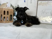 processed/f4f759e0-9e2e-49b4-aa52-9f1272122ad2/listing/811f4b1c-9c41-45de-820f-730c2c3ae855/05397c7e-698c-4cc6-bc4d-e11ea7f84e8f