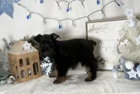 processed/f4f759e0-9e2e-49b4-aa52-9f1272122ad2/listing/811f4b1c-9c41-45de-820f-730c2c3ae855/0e5ba027-03fd-47ab-a4a5-dbf49946ed14