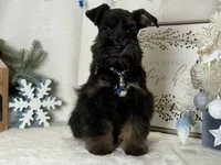 processed/f4f759e0-9e2e-49b4-aa52-9f1272122ad2/listing/811f4b1c-9c41-45de-820f-730c2c3ae855/23366ef8-f0fb-4631-8e14-34bcd27391e8