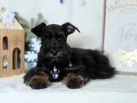 processed/f4f759e0-9e2e-49b4-aa52-9f1272122ad2/listing/811f4b1c-9c41-45de-820f-730c2c3ae855/9eb0d654-640a-485d-a648-071d0cedcf98