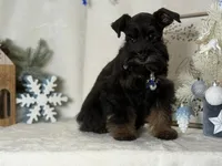 processed/f4f759e0-9e2e-49b4-aa52-9f1272122ad2/listing/811f4b1c-9c41-45de-820f-730c2c3ae855/a689965e-0493-4685-84a4-ba67b032b72e