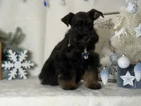 processed/f4f759e0-9e2e-49b4-aa52-9f1272122ad2/listing/811f4b1c-9c41-45de-820f-730c2c3ae855/aa6122d6-9268-442f-b2ef-5f127c7529ad