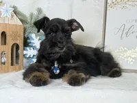 processed/f4f759e0-9e2e-49b4-aa52-9f1272122ad2/listing/811f4b1c-9c41-45de-820f-730c2c3ae855/b0963b44-2452-4d71-a36f-41f276d77d6a