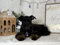 processed/f4f759e0-9e2e-49b4-aa52-9f1272122ad2/listing/811f4b1c-9c41-45de-820f-730c2c3ae855/d57b5efb-aa47-4f73-80d4-5eb172889de8