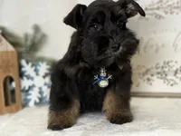 processed/f4f759e0-9e2e-49b4-aa52-9f1272122ad2/listing/811f4b1c-9c41-45de-820f-730c2c3ae855/db1ec7e9-e7b6-4f39-8fca-6757df2de3ca