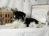 processed/f4f759e0-9e2e-49b4-aa52-9f1272122ad2/listing/bbb5e578-8a6a-47b6-a7db-aa1c86b66c75/196a009a-8eea-413f-8bcf-4b946d72e4cf