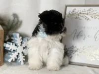 processed/f4f759e0-9e2e-49b4-aa52-9f1272122ad2/listing/bbb5e578-8a6a-47b6-a7db-aa1c86b66c75/1ade8a6d-ba49-4be6-822d-cdef499641b2