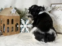 processed/f4f759e0-9e2e-49b4-aa52-9f1272122ad2/listing/bbb5e578-8a6a-47b6-a7db-aa1c86b66c75/4570d8fe-668c-44ff-acef-fe81f152b198