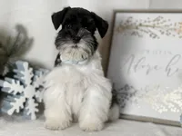 processed/f4f759e0-9e2e-49b4-aa52-9f1272122ad2/listing/bbb5e578-8a6a-47b6-a7db-aa1c86b66c75/705263f3-3b5c-4748-a04b-e791a09dc41e