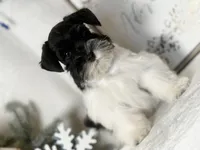 processed/f4f759e0-9e2e-49b4-aa52-9f1272122ad2/listing/bbb5e578-8a6a-47b6-a7db-aa1c86b66c75/e4fc01aa-2b68-4084-bba8-f96878276667