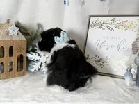 processed/f4f759e0-9e2e-49b4-aa52-9f1272122ad2/listing/bbb5e578-8a6a-47b6-a7db-aa1c86b66c75/e8f2467c-b29a-492f-9b09-f686b7de8e1a