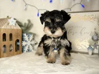 processed/f4f759e0-9e2e-49b4-aa52-9f1272122ad2/listing/e3013d82-5ff2-45c5-a3e5-af6bd92920d3/00a424ab-d988-4ce5-a8ee-0b70cf45fef2