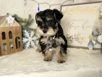 processed/f4f759e0-9e2e-49b4-aa52-9f1272122ad2/listing/e3013d82-5ff2-45c5-a3e5-af6bd92920d3/2405b2ef-617e-483e-a86a-d69f34a82d2c