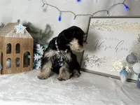 processed/f4f759e0-9e2e-49b4-aa52-9f1272122ad2/listing/e3013d82-5ff2-45c5-a3e5-af6bd92920d3/52f6b76f-3db5-4ba2-acb7-e6a889802a6e