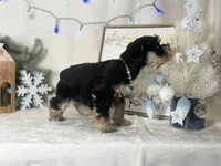 processed/f4f759e0-9e2e-49b4-aa52-9f1272122ad2/listing/e3013d82-5ff2-45c5-a3e5-af6bd92920d3/54e356cf-0f31-4ef5-9556-4dfcf80a9d42