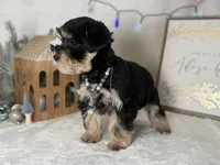 processed/f4f759e0-9e2e-49b4-aa52-9f1272122ad2/listing/e3013d82-5ff2-45c5-a3e5-af6bd92920d3/76859dac-cefb-4149-81b9-57d9359f6b83