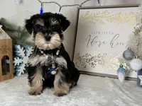 processed/f4f759e0-9e2e-49b4-aa52-9f1272122ad2/listing/e3013d82-5ff2-45c5-a3e5-af6bd92920d3/bd854616-2e24-40aa-9b2f-78cee4528410