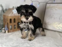 processed/f4f759e0-9e2e-49b4-aa52-9f1272122ad2/listing/e3013d82-5ff2-45c5-a3e5-af6bd92920d3/c4be5d72-4716-4286-ab5f-5e92e65694aa