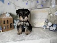 processed/f4f759e0-9e2e-49b4-aa52-9f1272122ad2/listing/e3013d82-5ff2-45c5-a3e5-af6bd92920d3/ea49f05f-9d71-482c-a576-cb1601c3a974