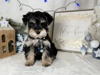 processed/f4f759e0-9e2e-49b4-aa52-9f1272122ad2/listing/e3013d82-5ff2-45c5-a3e5-af6bd92920d3/ff465c35-8493-41c4-8ed8-001c2aadb907