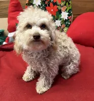 processed/f4f8128a-6f0a-4d8b-b482-1fb87e33d0db/listing/0138e8b3-a7b8-4fce-adb6-4c069e62bfe8/d5cc5c33-6082-48e4-b3ee-9821ccede265