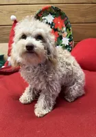 processed/f4f8128a-6f0a-4d8b-b482-1fb87e33d0db/listing/0138e8b3-a7b8-4fce-adb6-4c069e62bfe8/d833d35b-a9c7-4cf6-9950-1fa521cb1143