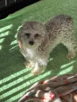 processed/f4f8128a-6f0a-4d8b-b482-1fb87e33d0db/listing/0138e8b3-a7b8-4fce-adb6-4c069e62bfe8/e4ca9a81-ba7b-4a2e-a2f1-89ec999f8f30